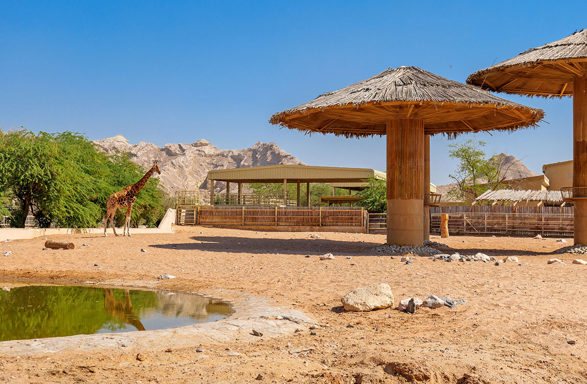 al-ain-zoo-park_1766409564.jpg