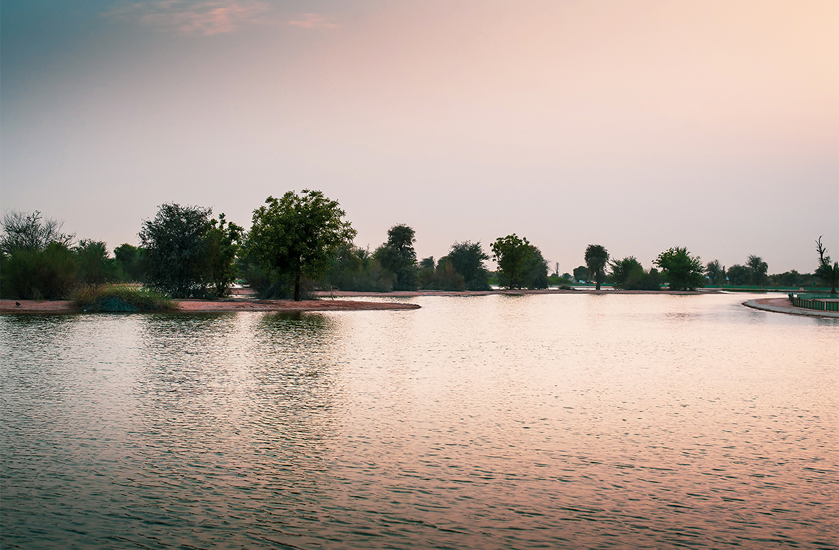 Al Qudra Lake