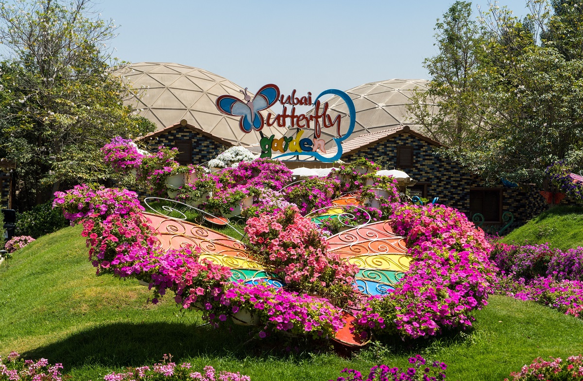 Butterfly Garden Dubai