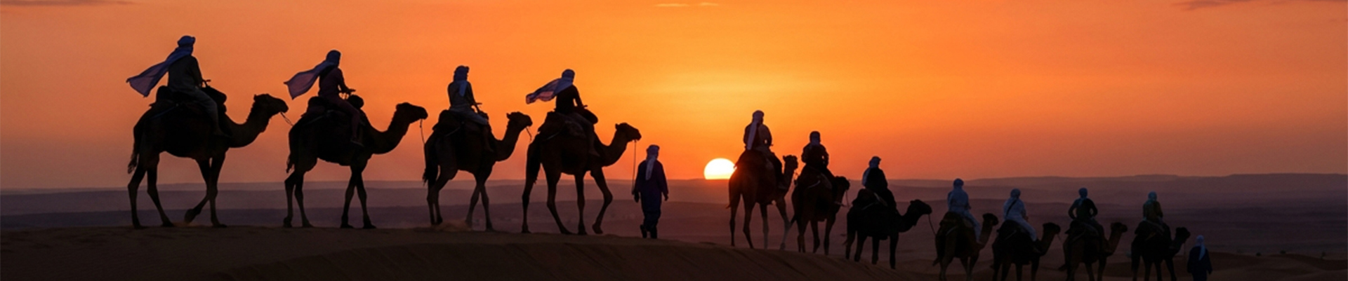 Camel Ride