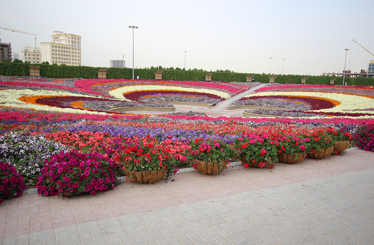Dubai Flower Garden.jpg