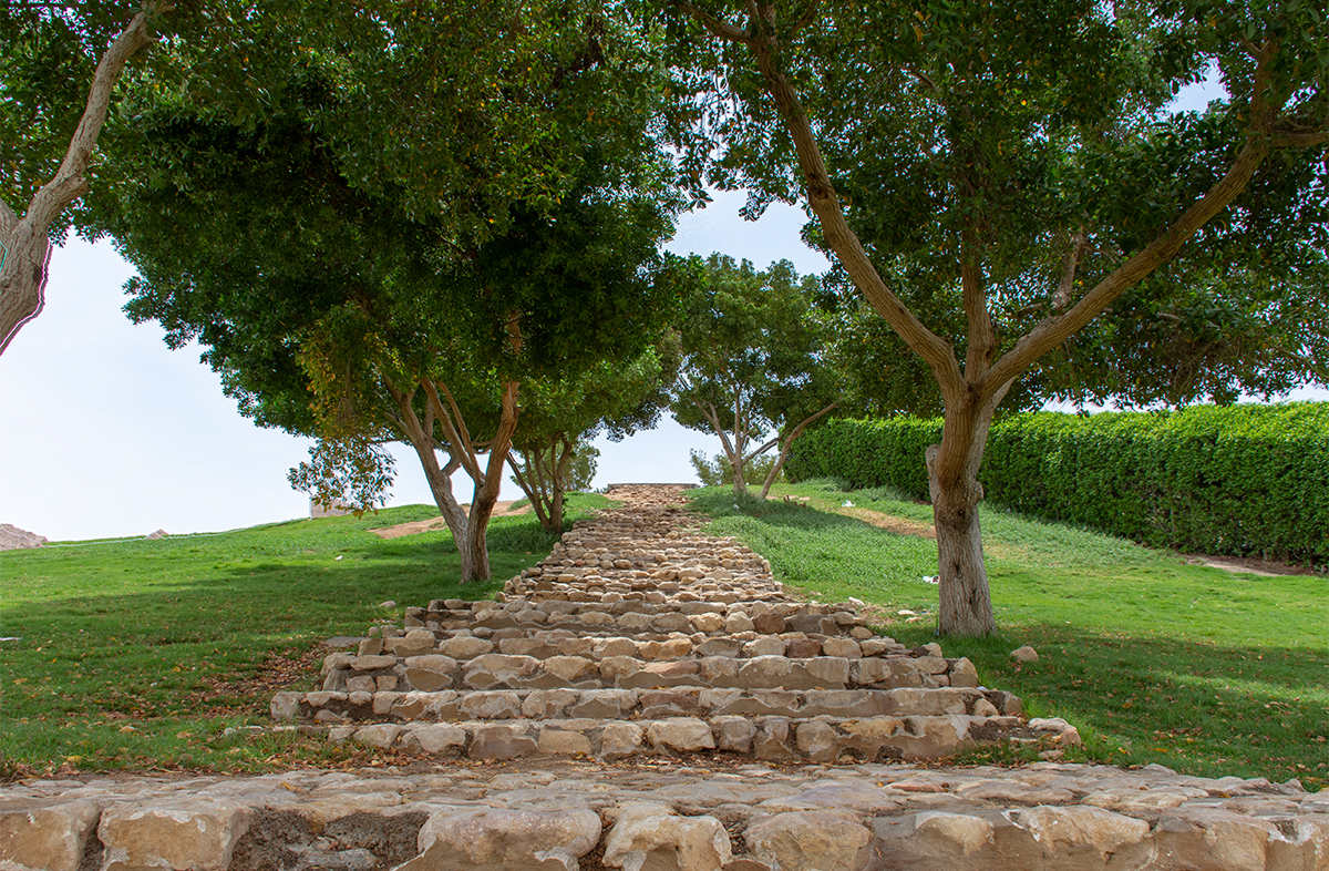 Green Mubazzarah Park Natural Scenery.jpg