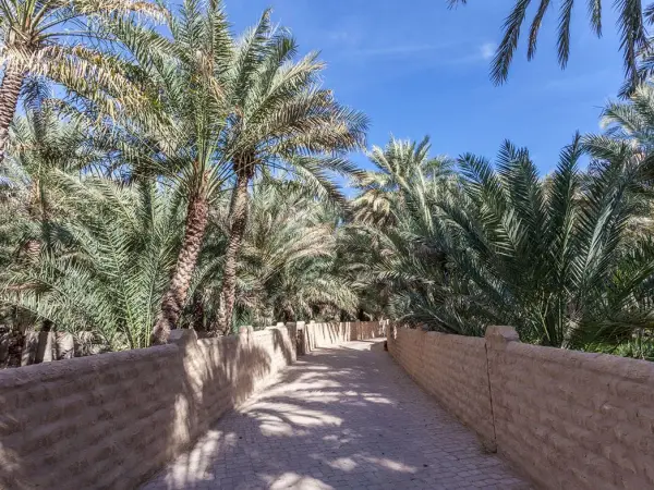 Al Ain Oasis