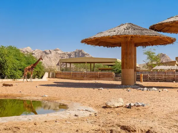 Al Ain Zoo