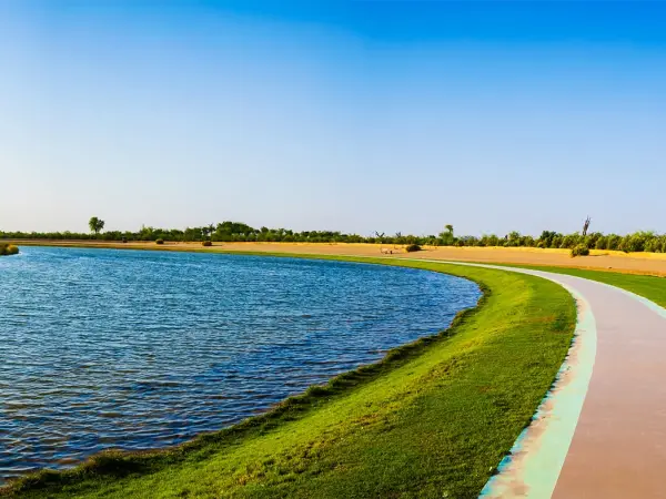 Al Qudra Lake