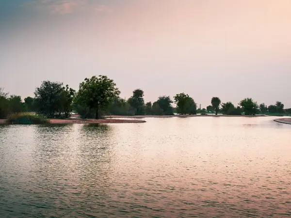 Al Qudra Lake