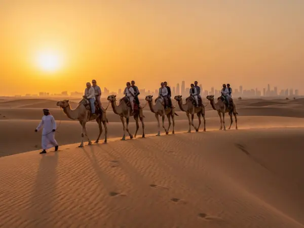 Camel Ride