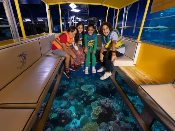Dubai Aquarium & Underwater Zoo