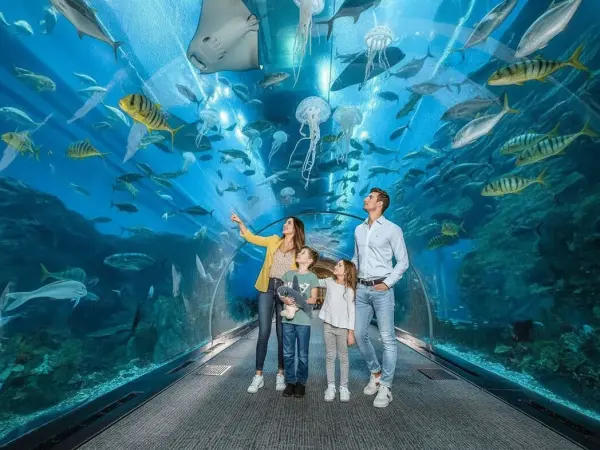 Dubai Aquarium & Underwater Zoo