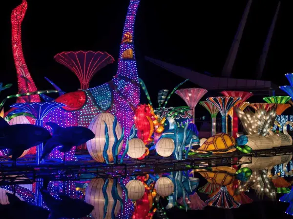 Dubai Garden Glow