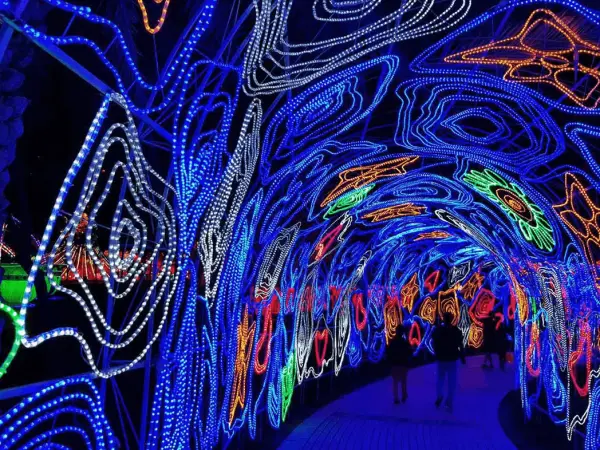 Dubai Garden Glow