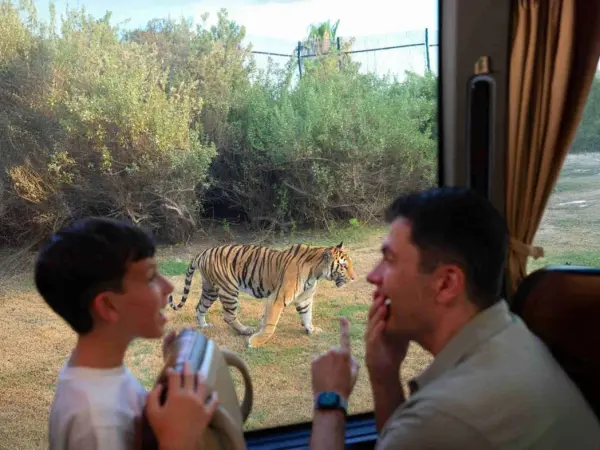 Dubai Safari Park