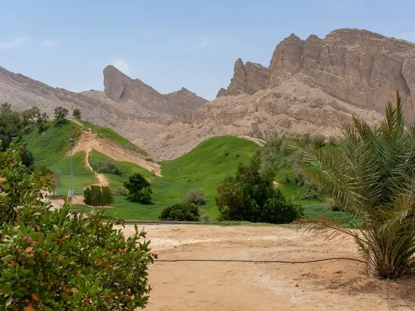 Green Mubazzarah Park