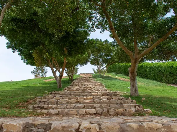 Green Mubazzarah Park