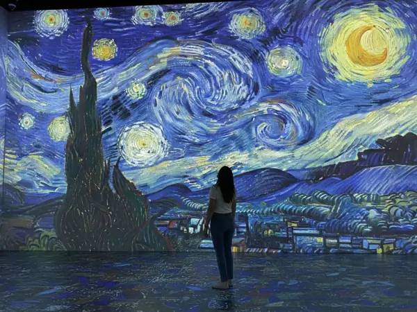 Infinity Des Lumieres