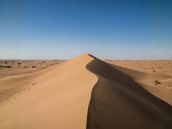 Liwa Oasis