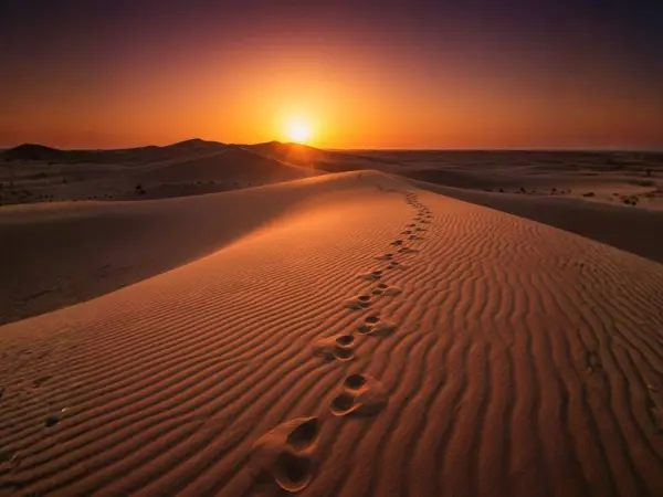Liwa Oasis