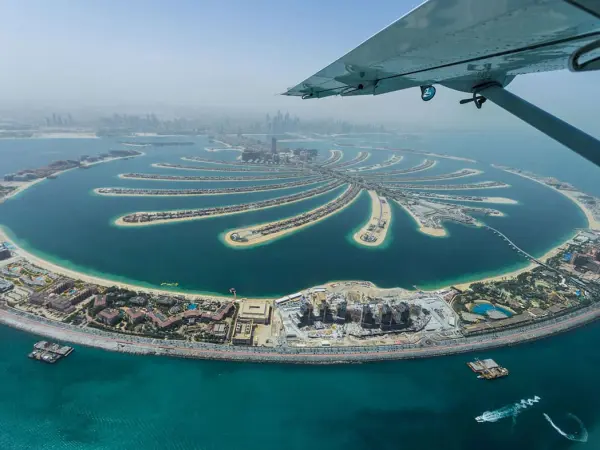 Palm Island