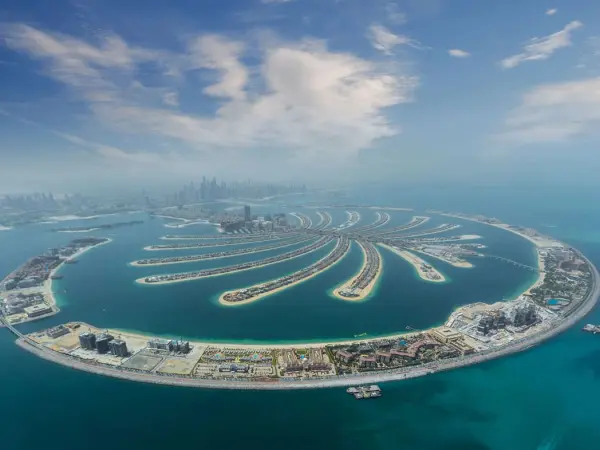 Palm Island