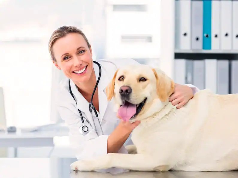 Pet World Arabia 4TH EDITION