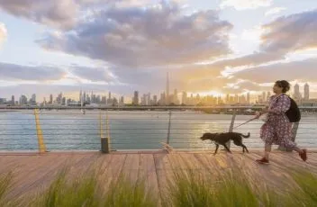 Petworld Arabia