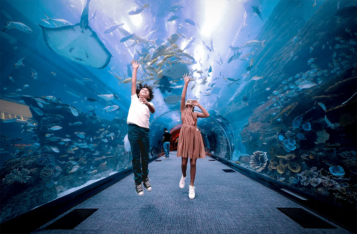 Dubai Aquarium & Underwater Zoo
