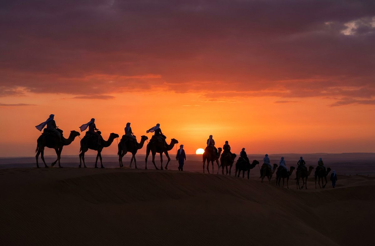 Camel Ride In Dubai Desert