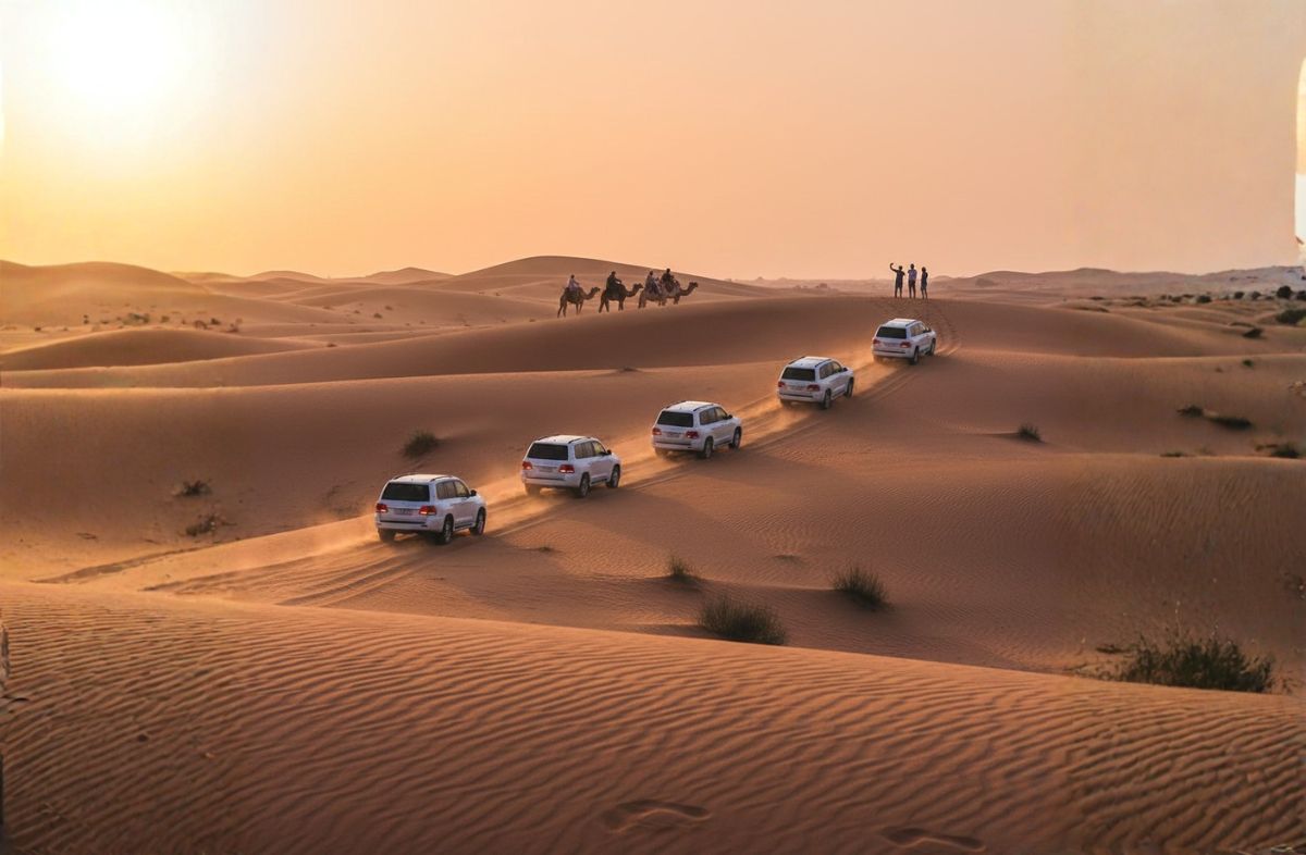 Sunrise/Morning Desert Safari Tour
