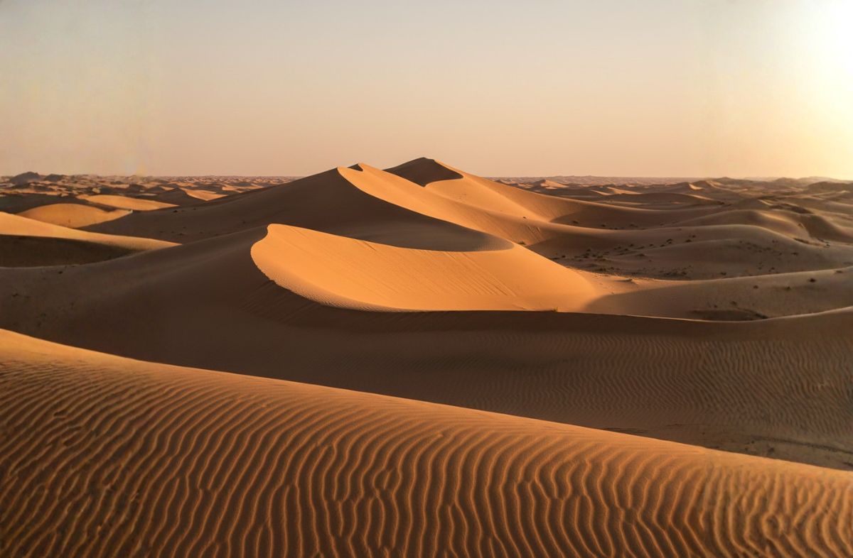 Liwa Oasis Desert View