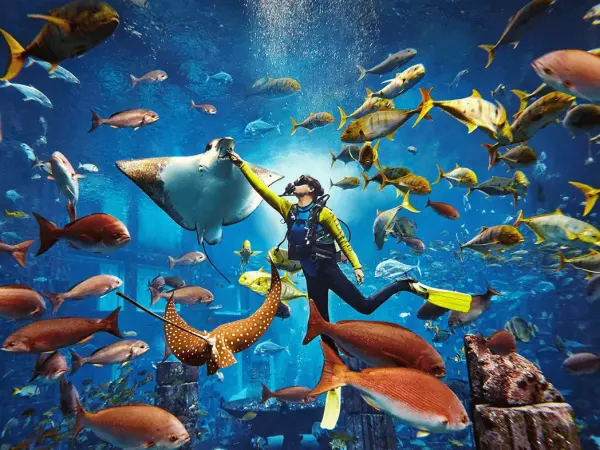 Scuba Diving Dubai