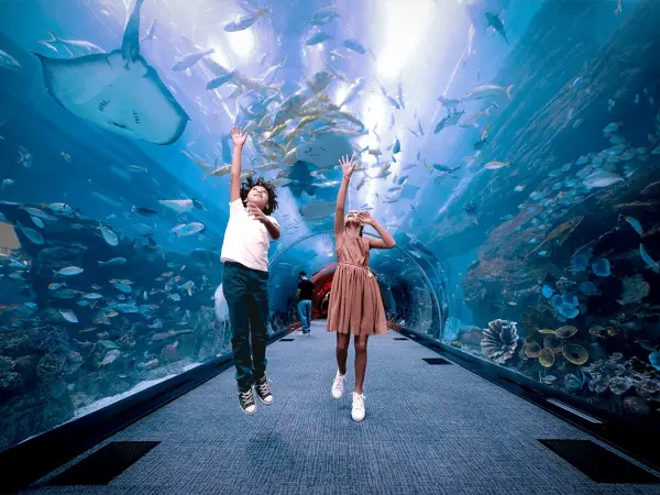 Dubai Aquarium & Underwater Zoo