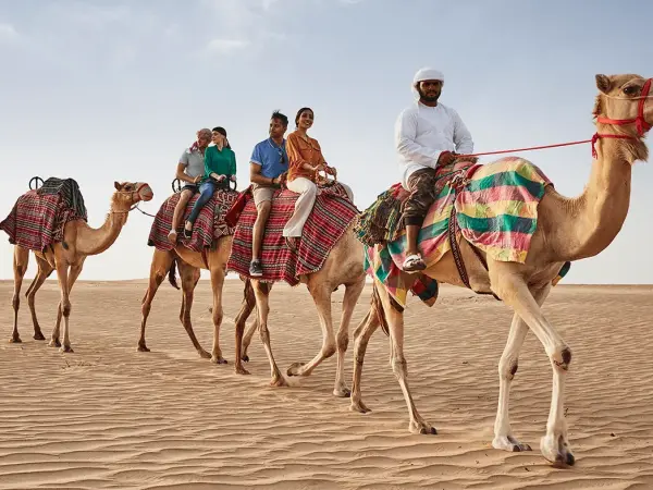 Camel Ride