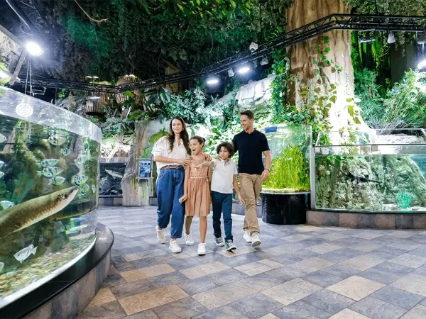 Dubai Aquarium & Underwater Zoo