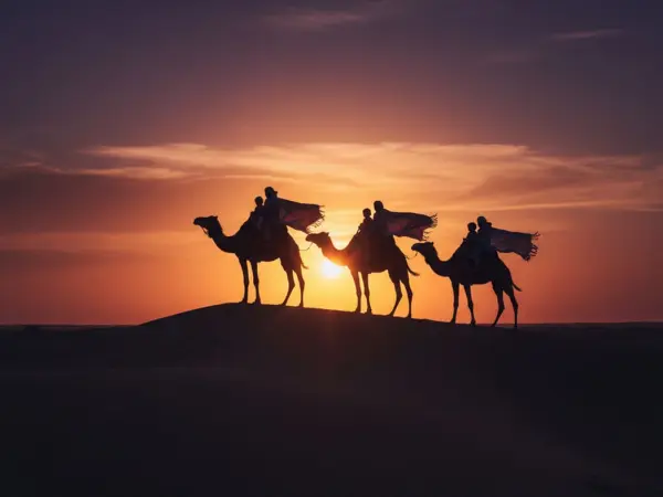 Overnight Desert Safari Tour