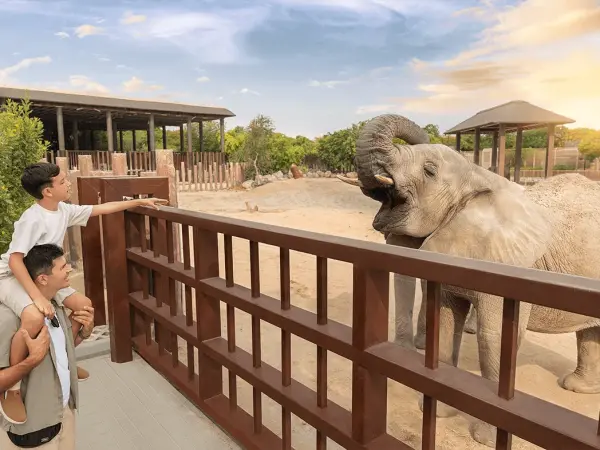 Dubai Safari Park