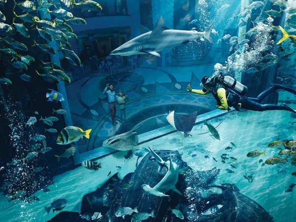 Scuba Diving Dubai