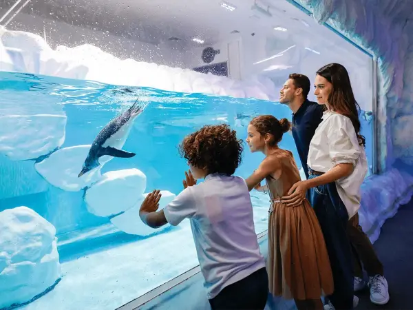 Dubai Aquarium & Underwater Zoo