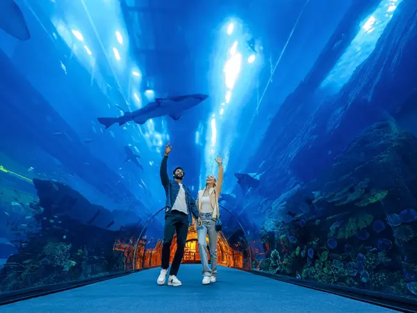 Dubai Aquarium & Underwater Zoo