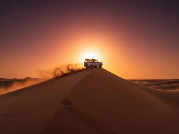 Liwa Oasis (Mureeb Dune) Tour