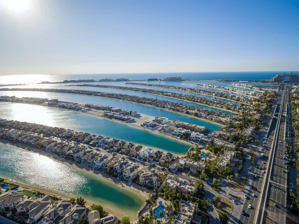Palm Island