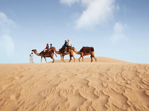 Camel Ride
