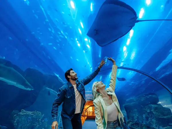 Dubai Aquarium & Underwater Zoo