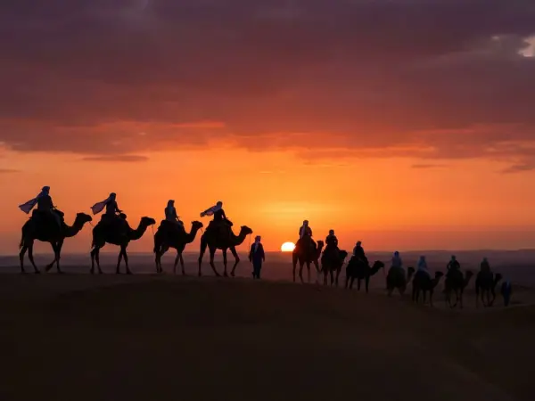 Abu Dhabi Desert Safari with BBQ Dinner