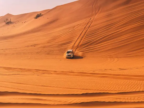 Abu Dhabi Desert Safari with BBQ Dinner