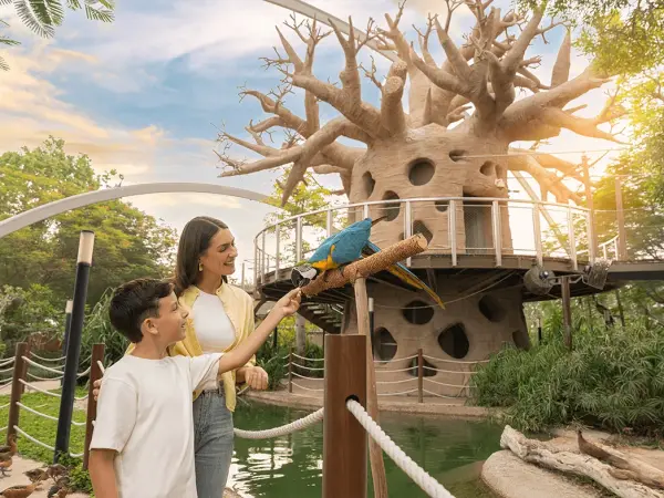 Dubai Safari Park