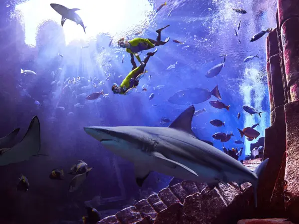 Scuba Diving Dubai