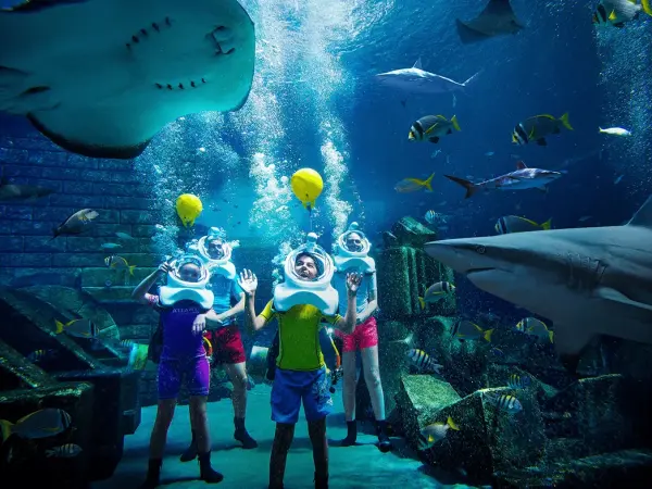 Scuba Diving Dubai