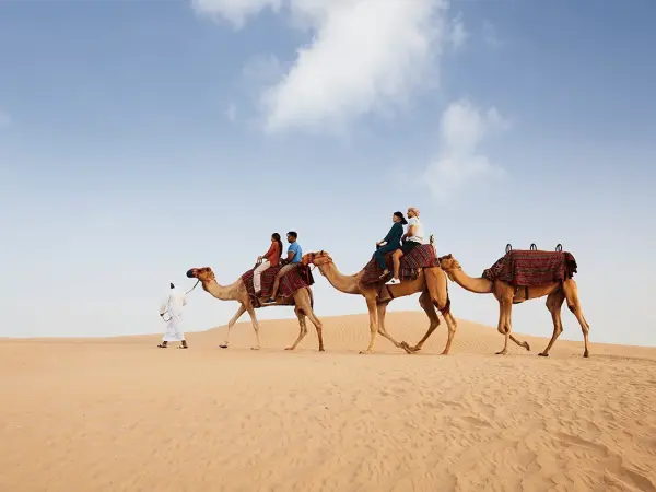Camel Ride