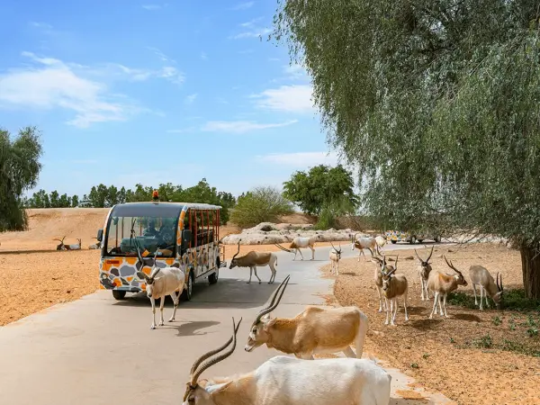 Dubai Safari Park