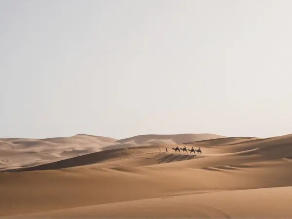Ras Al Khaimah Desert Safari Tour
